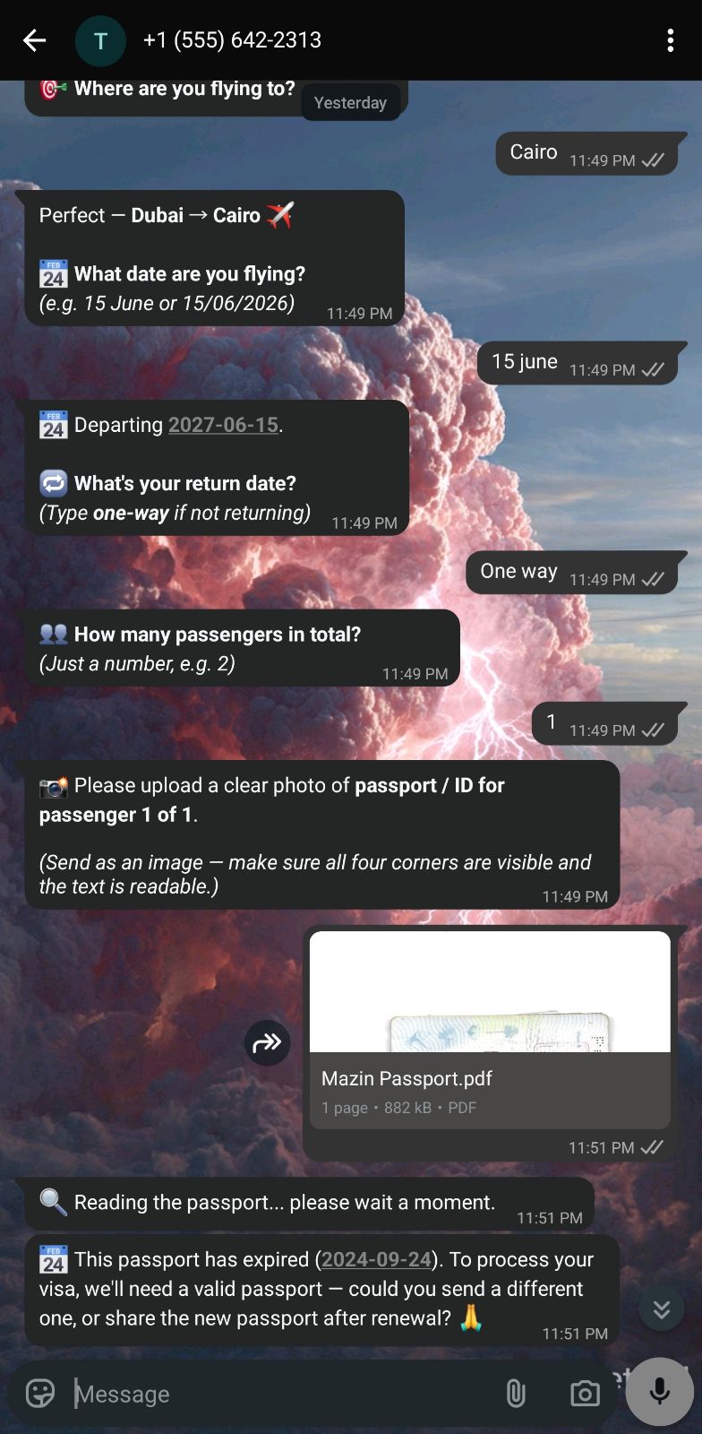 Reads the passport and flags an expired one automatically